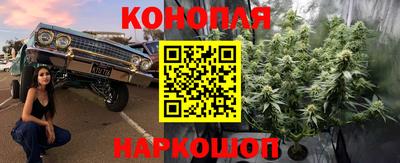 Альфа ПВП Донской