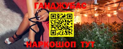 стафф Донецк