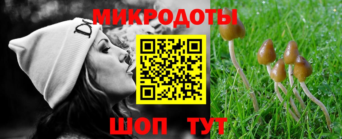 Губаха  Псилоцибиновые грибы Cubensis  Вход с VPN 
